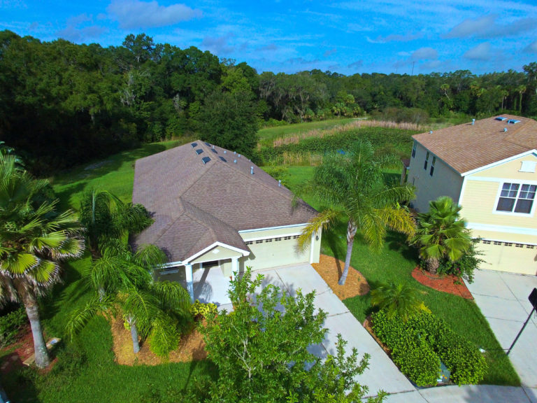 Wesley Chapel real estate